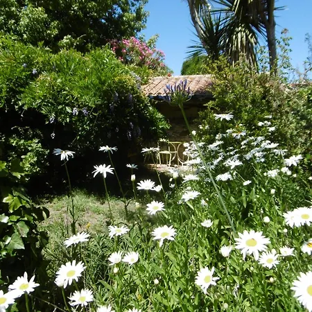 Maison De Charme Au Bourg De Avec Jardin Pour 4 Pers - Fr-1-823-9 度假居